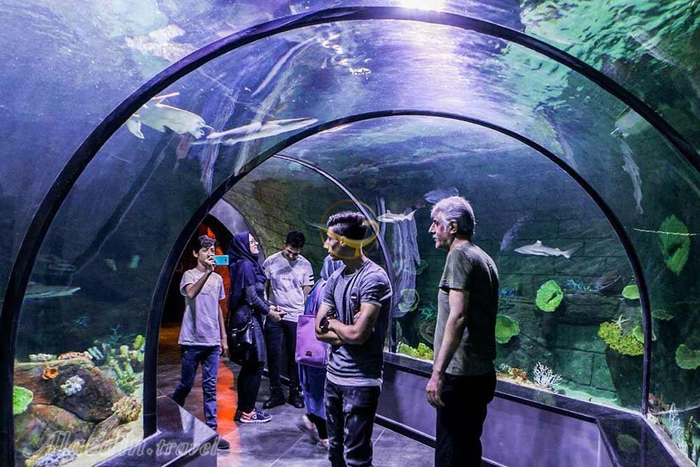 آکواریوم انزلی بندر انزلی | علاءالدین تراول