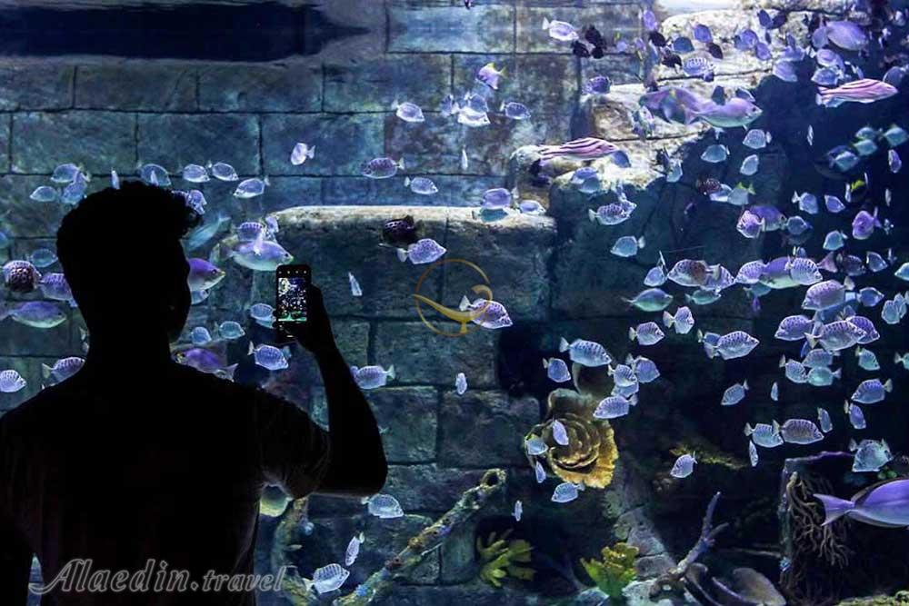 آکواریوم انزلی بندر انزلی | علاءالدین تراول
