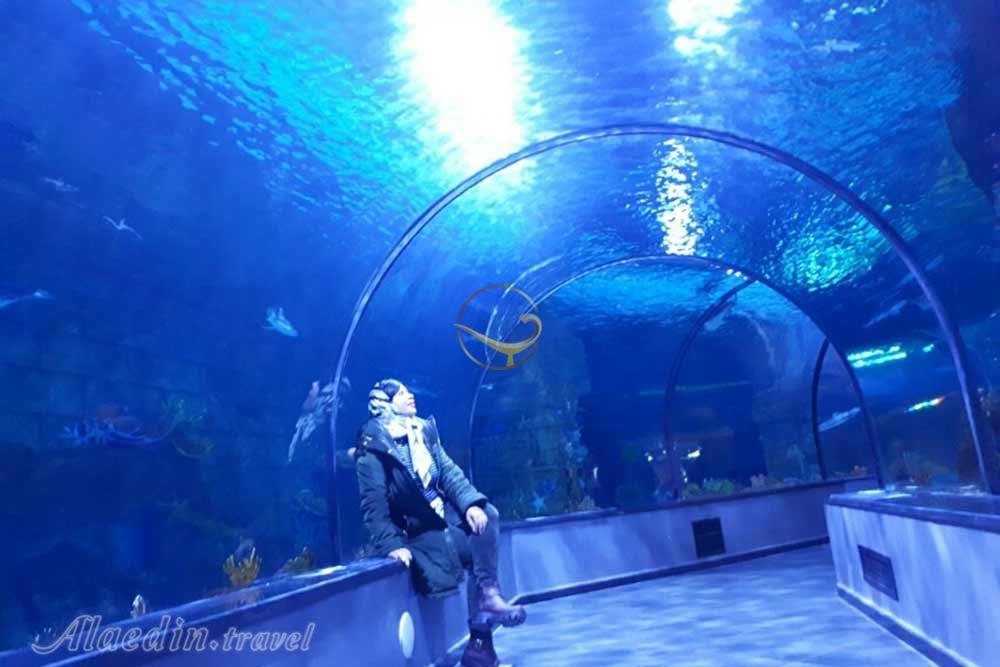 آکواریوم انزلی بندر انزلی | علاءالدین تراول