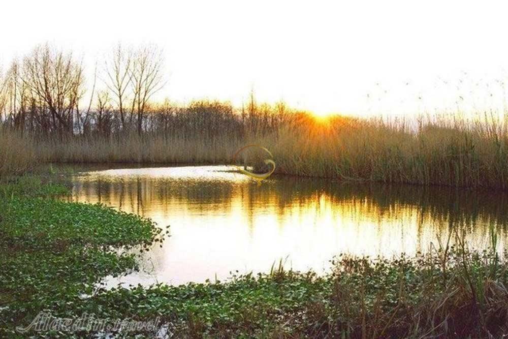 مرداب بندرانزلی | علاءالدین تراول