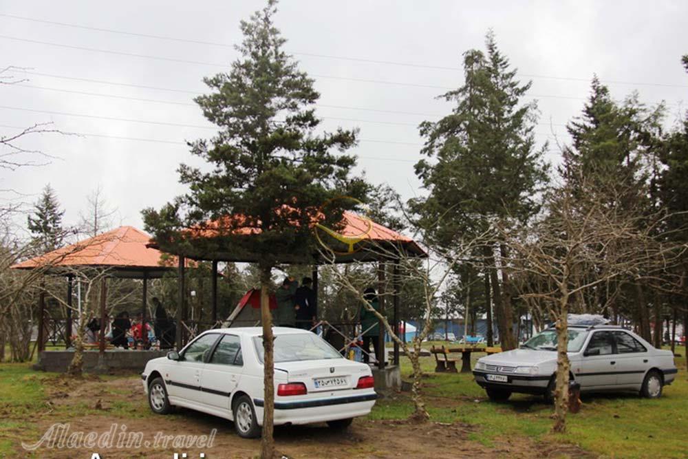 پارک جنگلی بندرانزلی | علاءالدین تراول