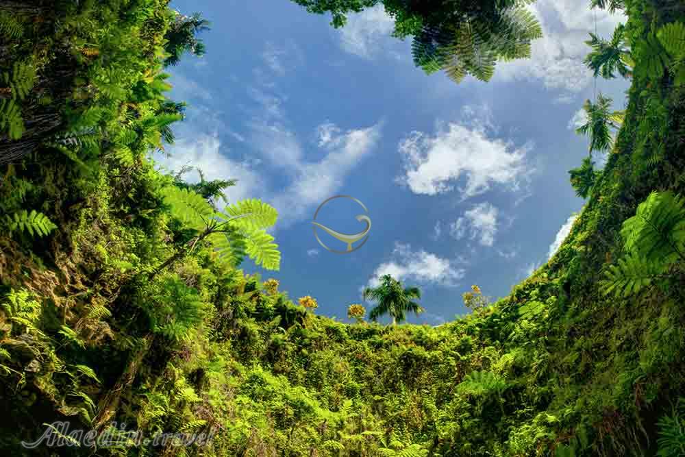 گودال اقیانوسی تو سوا در آپیا - ساموآ | علاءالدین تراول