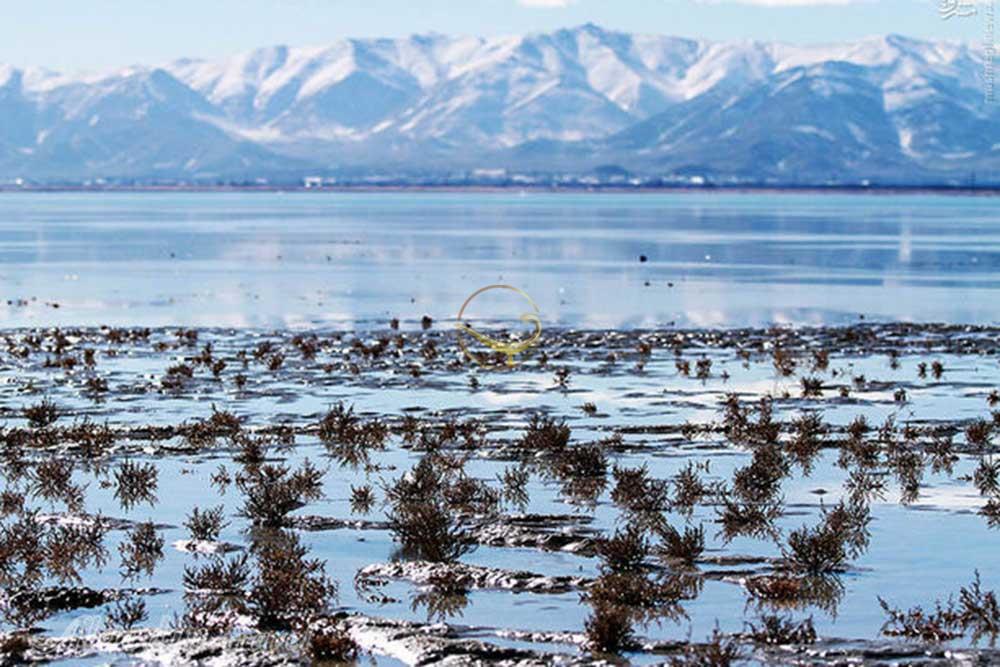 تالاب کویری میقان در اراک | علاءالدین تراول