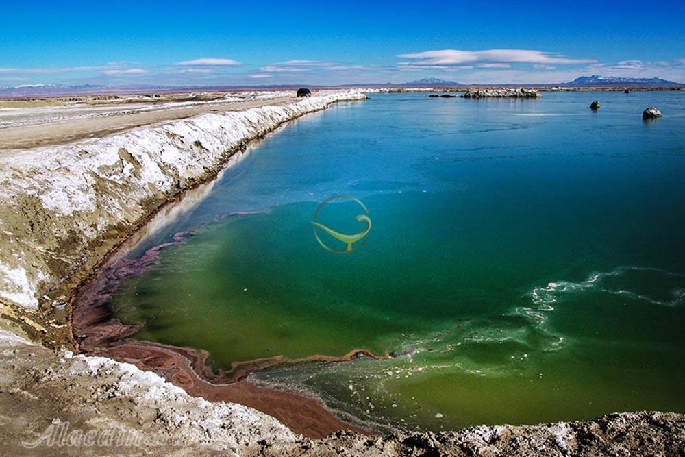 تالاب کویری میقان در اراک | علاءالدین تراول