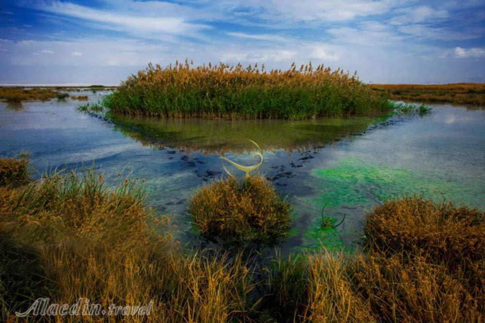 تالاب کویری میقان در اراک | علاءالدین تراول