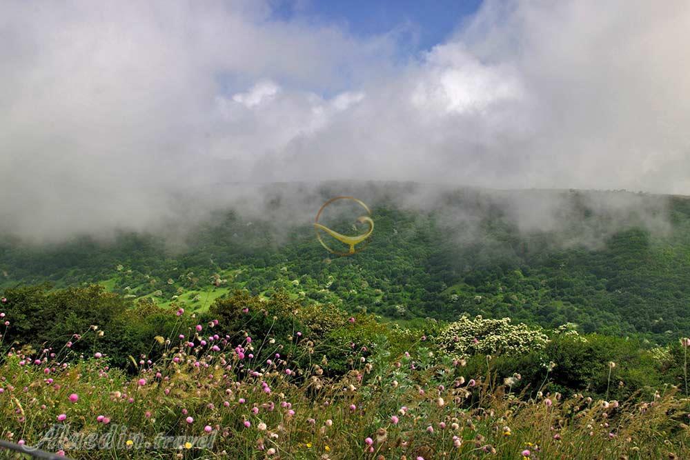 جنگل فندقلو اردبیل | علاءالدین تراول