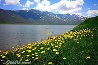 دریاچه نئور اردبیل