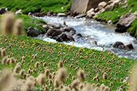 قله سبلان اردبیل