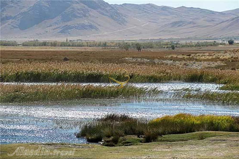 تالاب امامزاده پیرسلمان در اسدآباد | علاءالدین تراول
