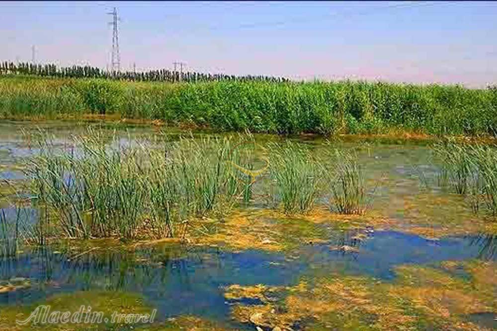 تالاب امامزاده پیرسلمان در اسدآباد | علاءالدین تراول