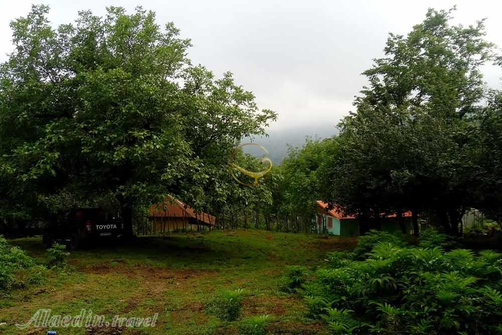 جنگل لوندویل آستارا | علاءالدین تراول