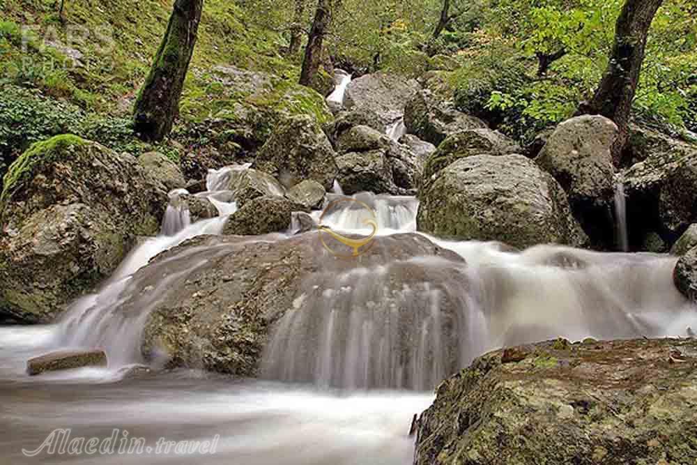 جنگل لوندویل آستارا | علاءالدین تراول