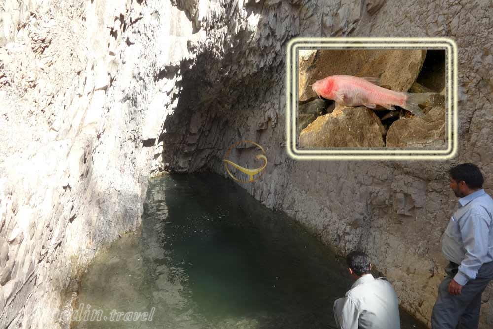 غار ماهی کور ازنا | علاءالدین تراول