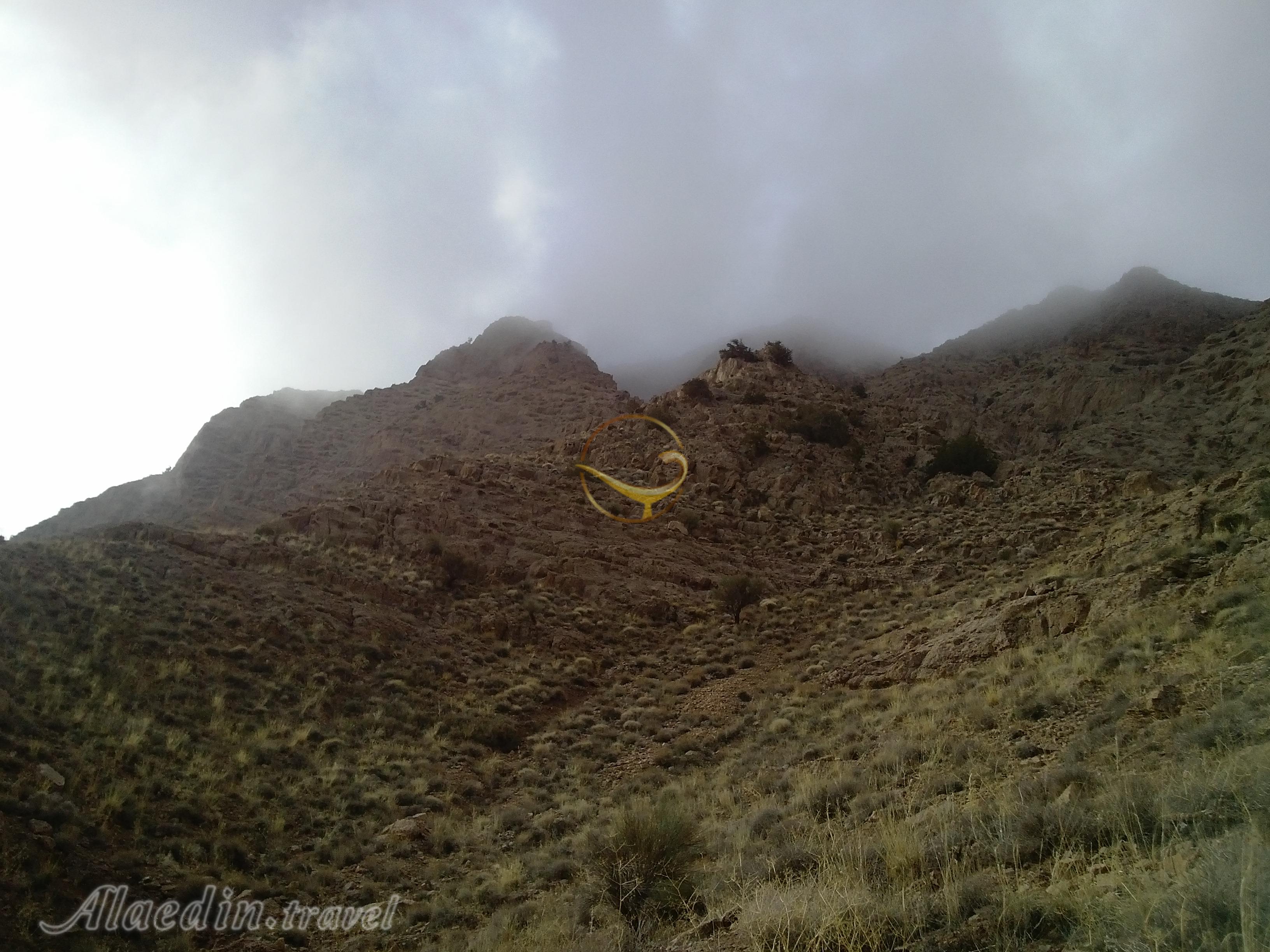 منطقه جنگلی ارس باجگان بافق | علاءالدین تراول