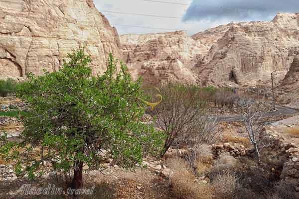 روستای قطرم بافق