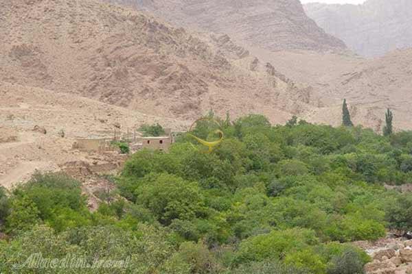 روستای شادکام بافق