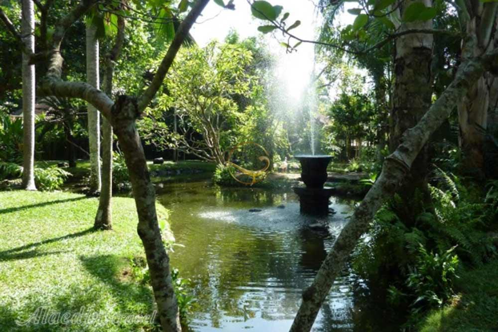 پارک پرندگان بالی - اندونزی | علاءالدین تراول