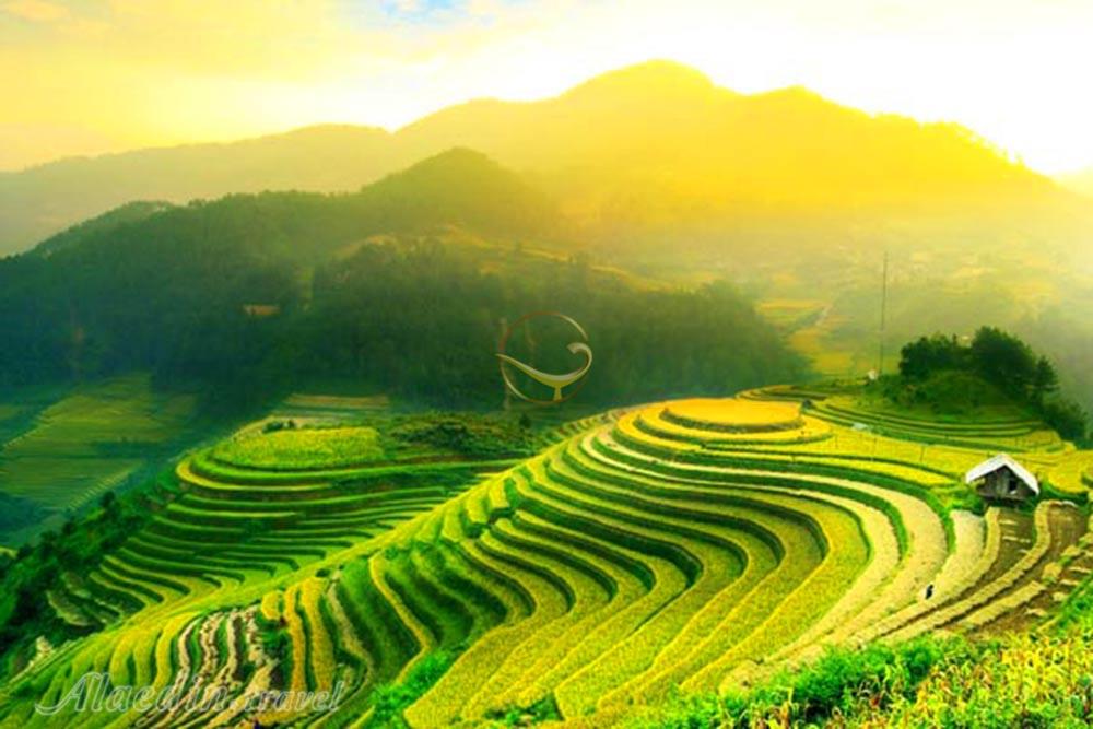 مزارع پلکانی برنج تگالالنگ در بالی | علاءالدین تراول