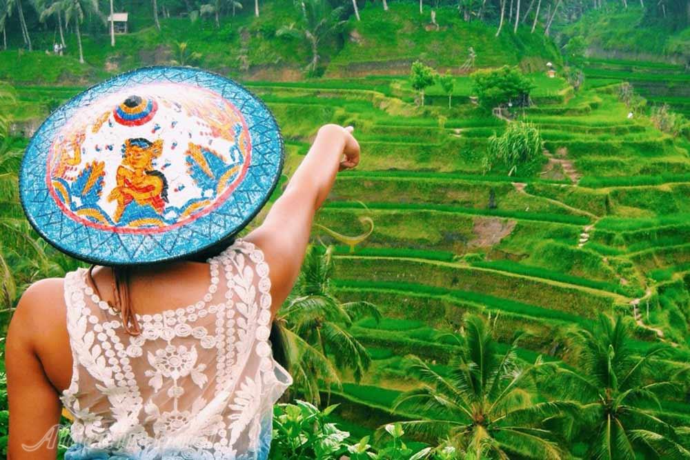 مزارع پلکانی برنج تگالالنگ در بالی | علاءالدین تراول
