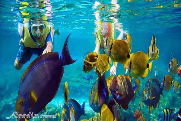 سایت غواصی تولامبن در بالی - اندونزی