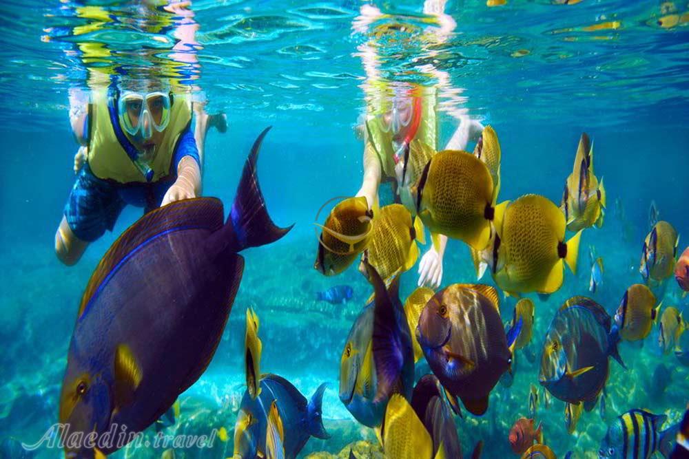 سایت غواصی تولامبن در بالی - اندونزی | علاءالدین تراول