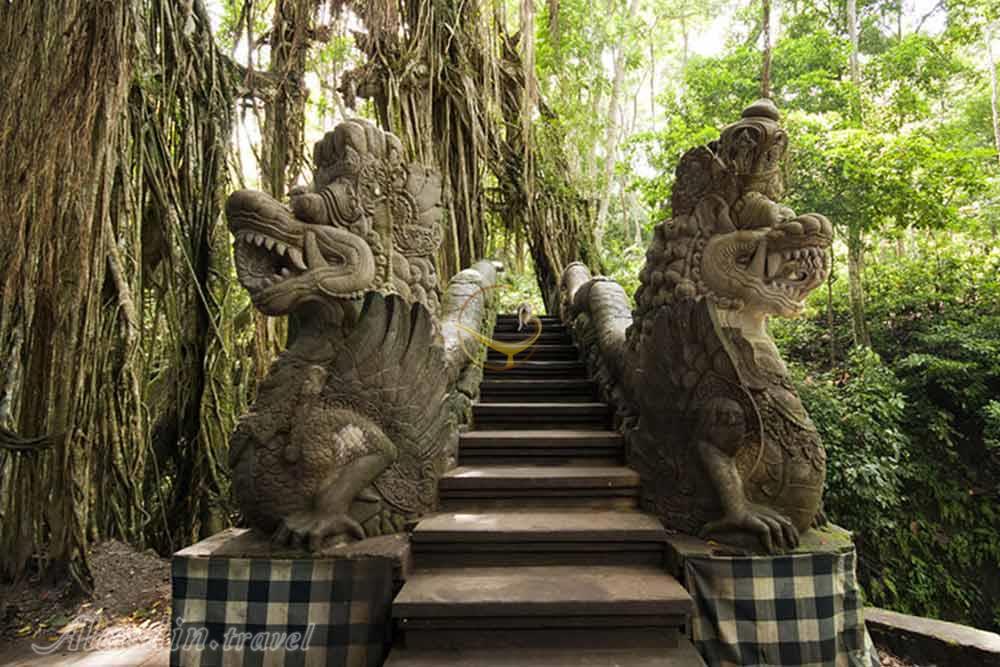 جنگل میمون اوبود در بالی - اندونزی | علاءالدین تراول