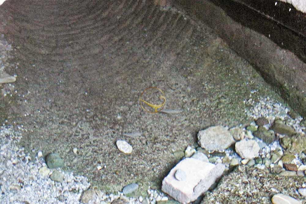 قنات اکبرآباد و قاسم آباد بروات بم | علاءالدین تراول