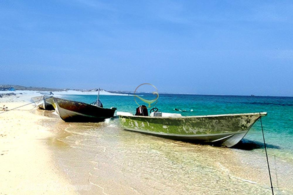 جزیره لاوان | علاءالدین تراول