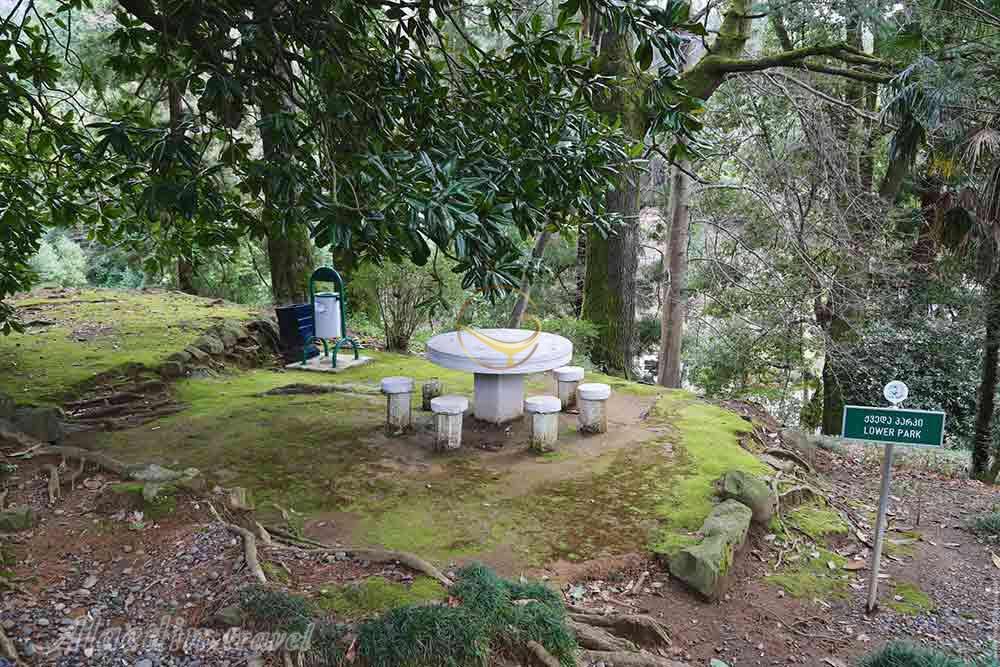 باغ گیاه شناسی (بوتانیکال گاردن) در باتومی - گرجستان | علاءالدین تراول