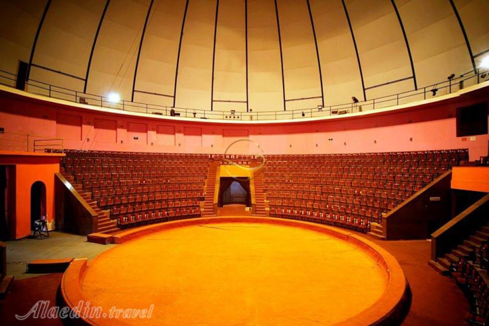 سیرک باتومی در گرجستان | علاءالدین تراول