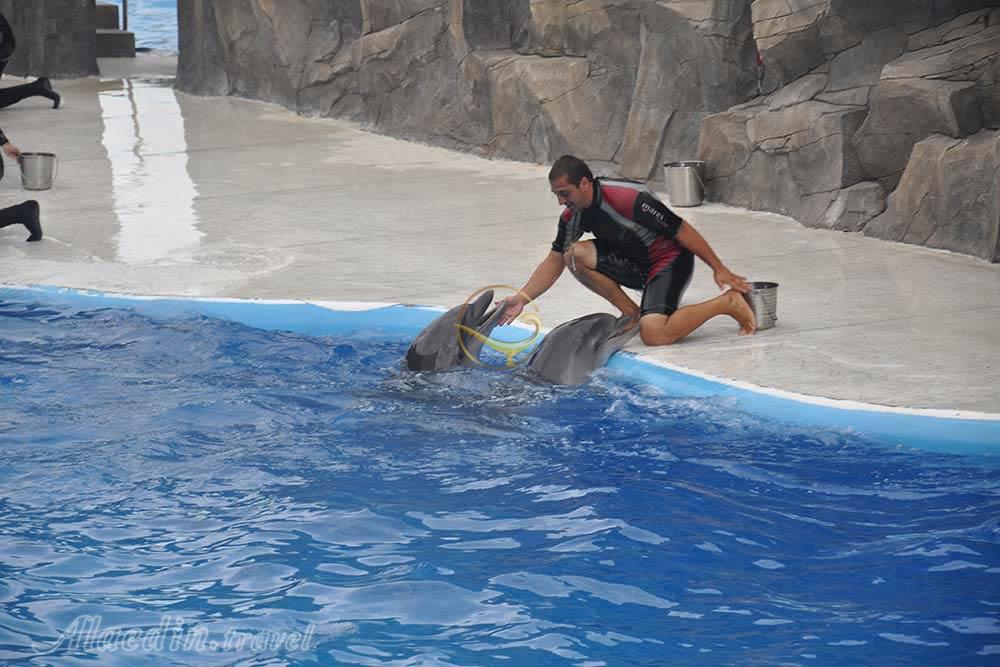 دلفیناریوم باتومی در گرجستان | علاءالدین تراول