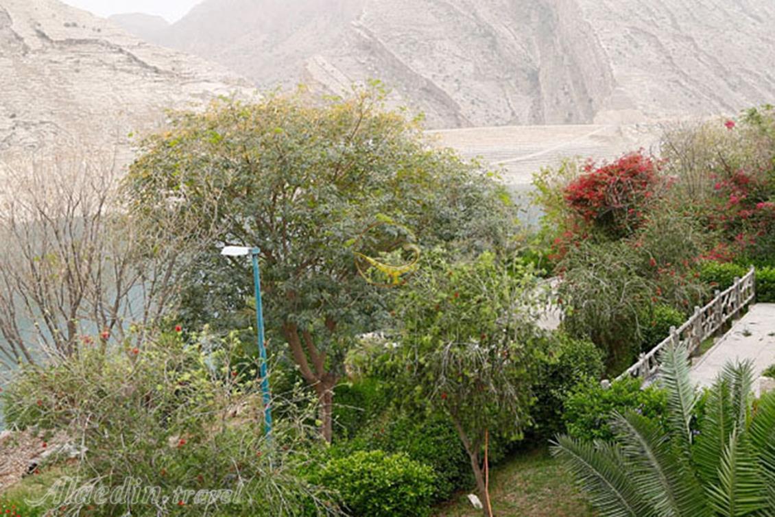 پلاژ سد مارون بهبهان | علاءالدین تراول