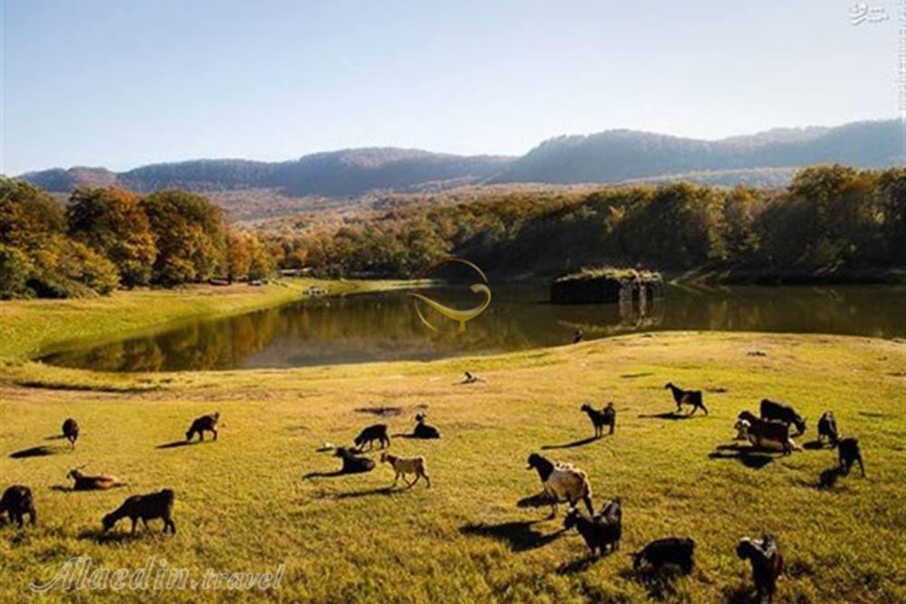 باغ عباس آباد بهشهر | علاءالدین تراول