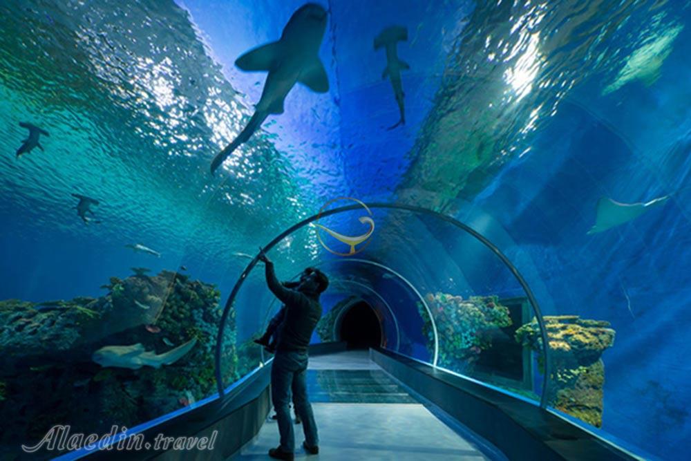 آکواریوم برگن - نروژ | علاءالدین تراول