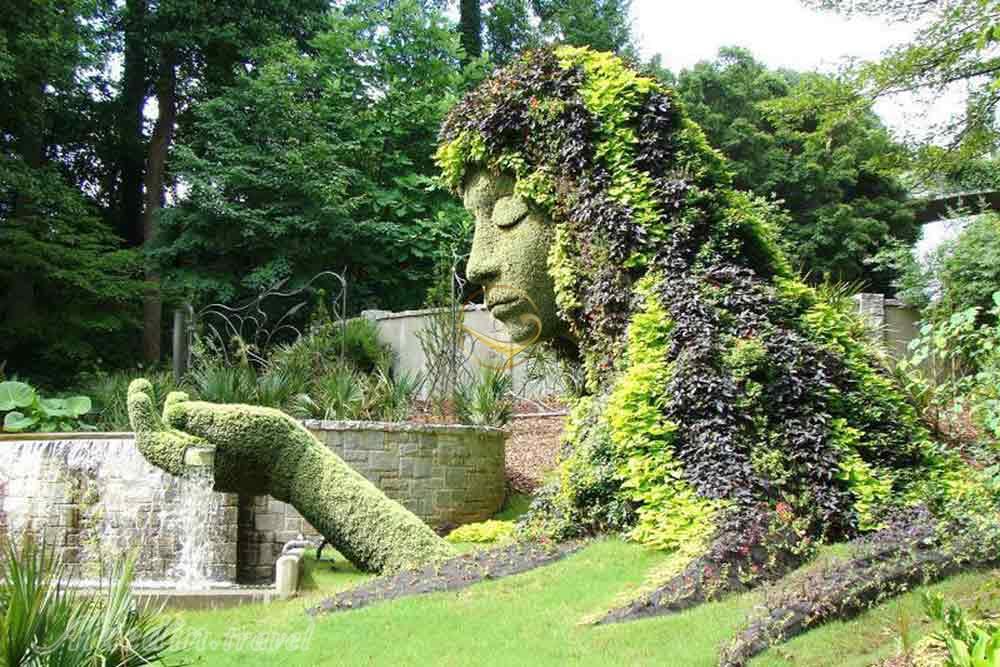 باغ و موزه گیاه‌شناسی برلین | علاءالدین تراول