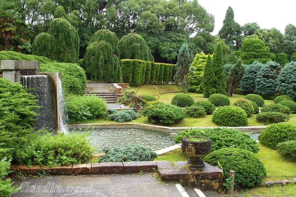 باغ و موزه گیاه‌شناسی برلین | علاءالدین تراول