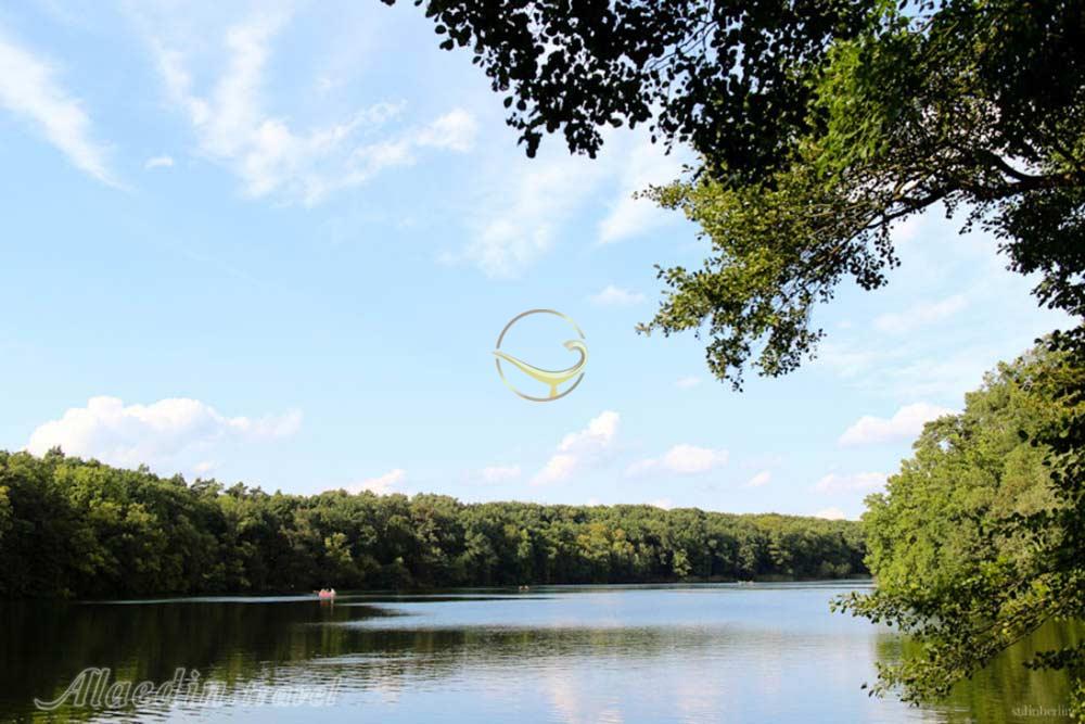 جنگل گرون والد در برلین | علاءالدین تراول