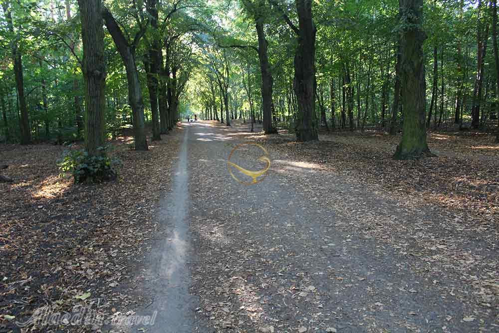 جنگل گرون والد در برلین | علاءالدین تراول