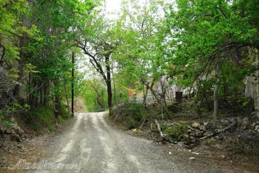 منطقه ییلاقی طرقبه بینالود | علاءالدین تراول