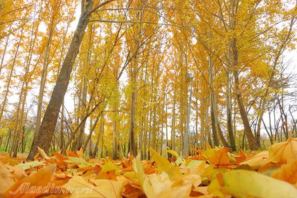 پارک بابا امان بجنورد | علاءالدین تراول