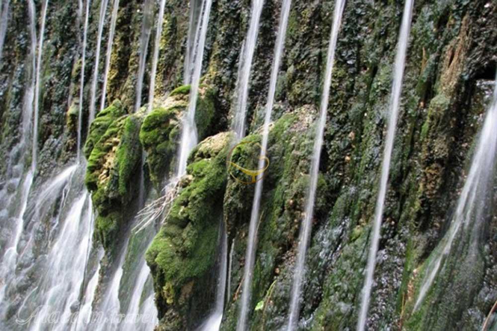 پارک بابا امان بجنورد | علاءالدین تراول