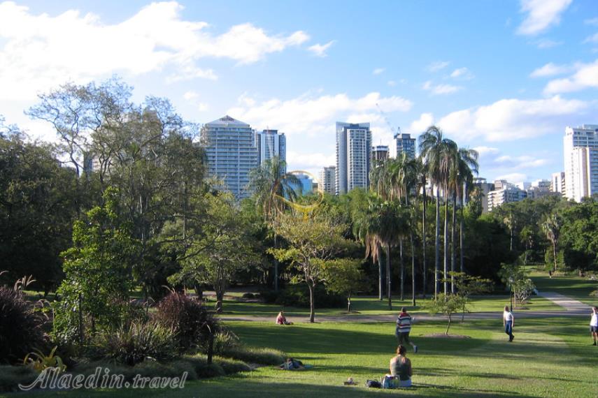 باغ های گیاه شناسی شهر بریزبن | علاالدین تراول