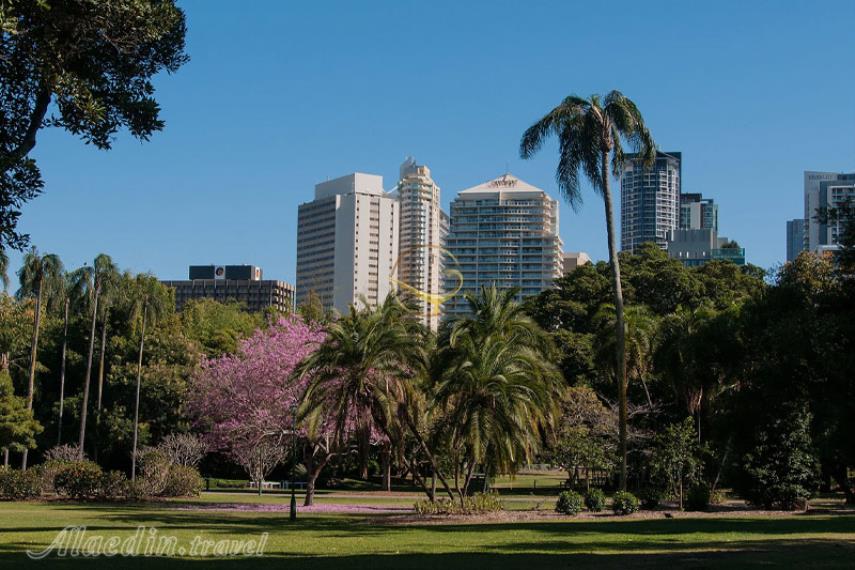 باغ های گیاه شناسی شهر بریزبن | علاالدین تراول