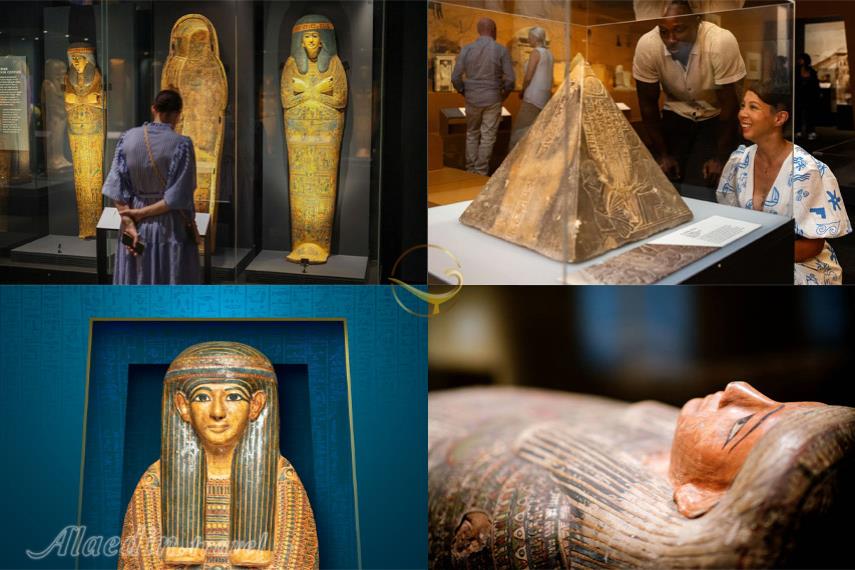 موزه کوئینزلند بریزبن | علاالدین تراول