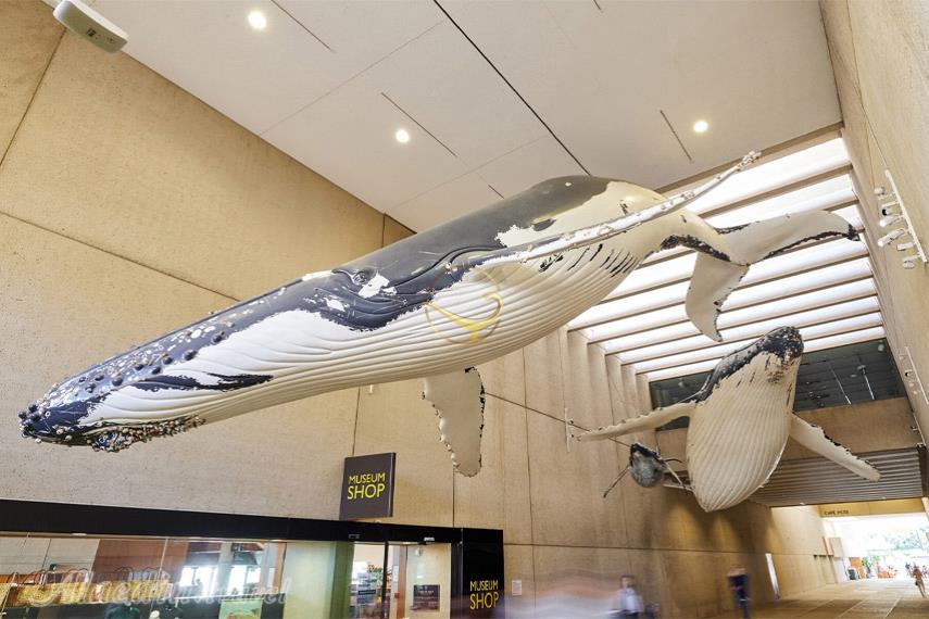 موزه کوئینزلند بریزبن | علاالدین تراول