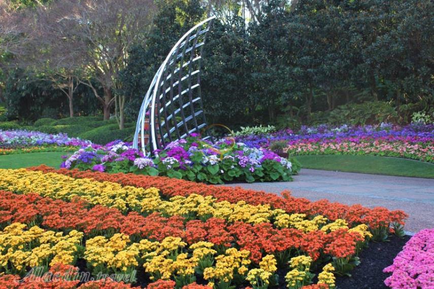 پارک خیابان روما بریزبن | علاالدین تراول