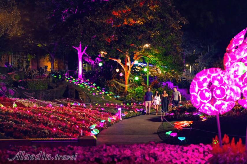 پارک خیابان روما بریزبن | علاالدین تراول