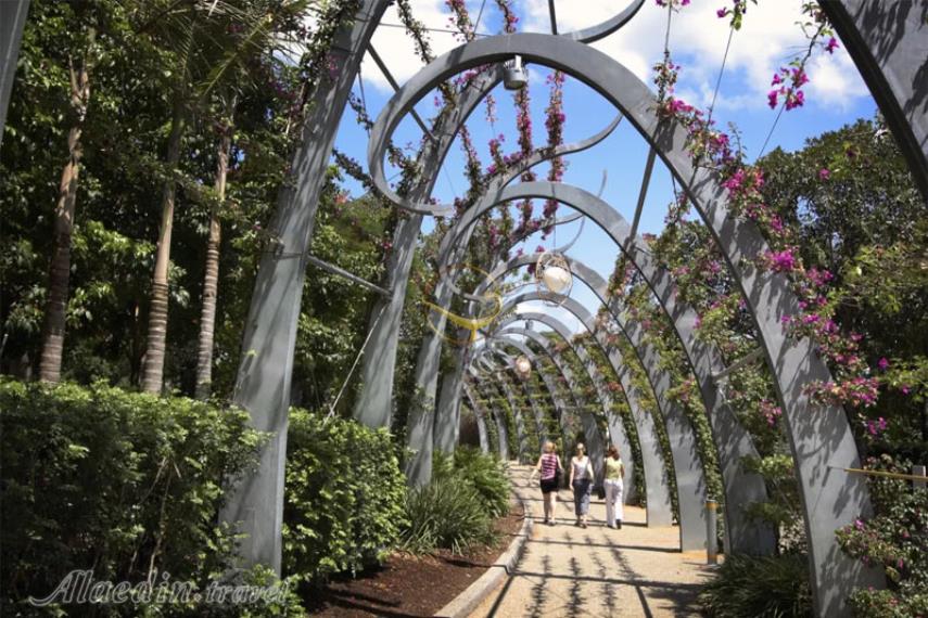 پارک خیابان روما بریزبن | علاالدین تراول