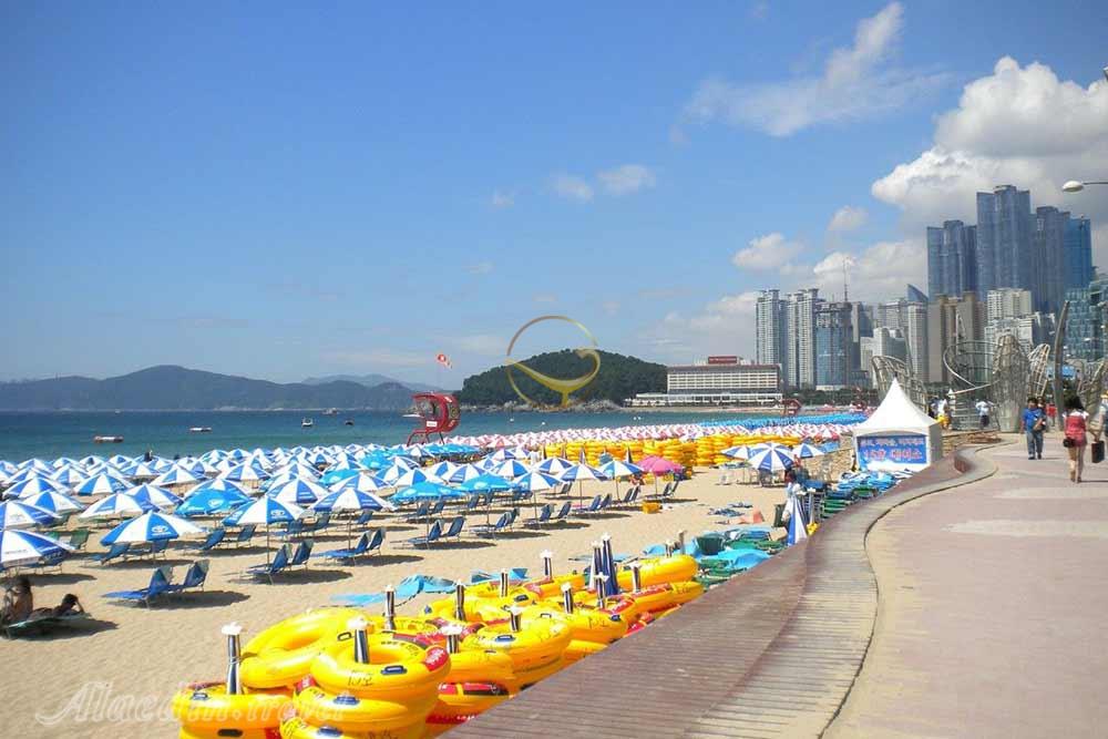 ساحل هیوندای بوسان | علاءالدین تراول