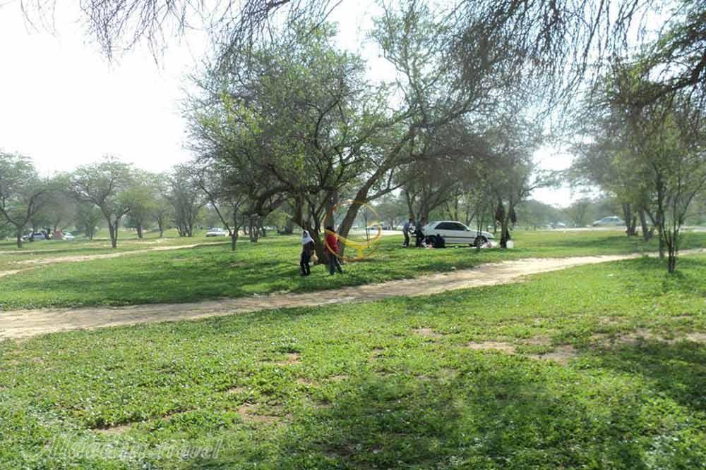 پارک جنگلی چاهکوتاه (چاه کوتاه) در بوشهر | علاءالدین تراول